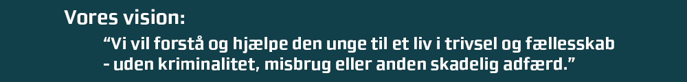 Vores vision: Vi vil forstå og hjælpe den unge til et liv i trivsel og fællesskab  - uden kriminalitet, misbrug eller anden skadelig adfærd